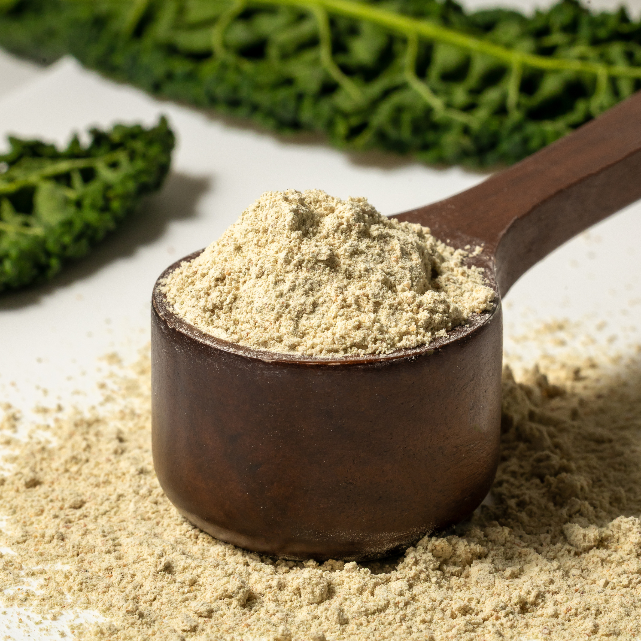 Wooden scoop filled with a Løuco protein powder on a light background with green leaves.